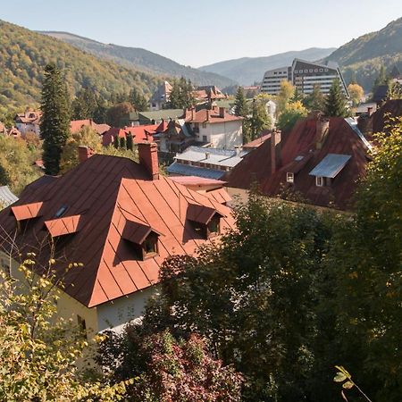 Rustic Regal Apartment ซินายา ภายนอก รูปภาพ