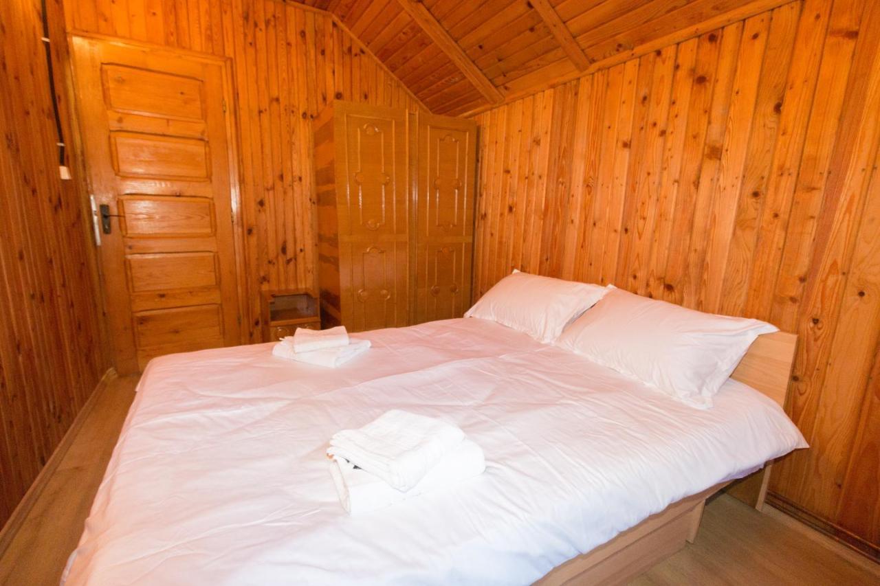 Rustic Regal Apartment ซินายา ภายนอก รูปภาพ