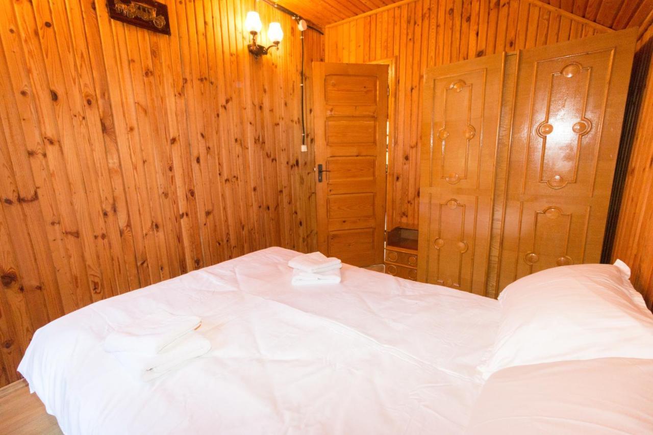Rustic Regal Apartment ซินายา ภายนอก รูปภาพ