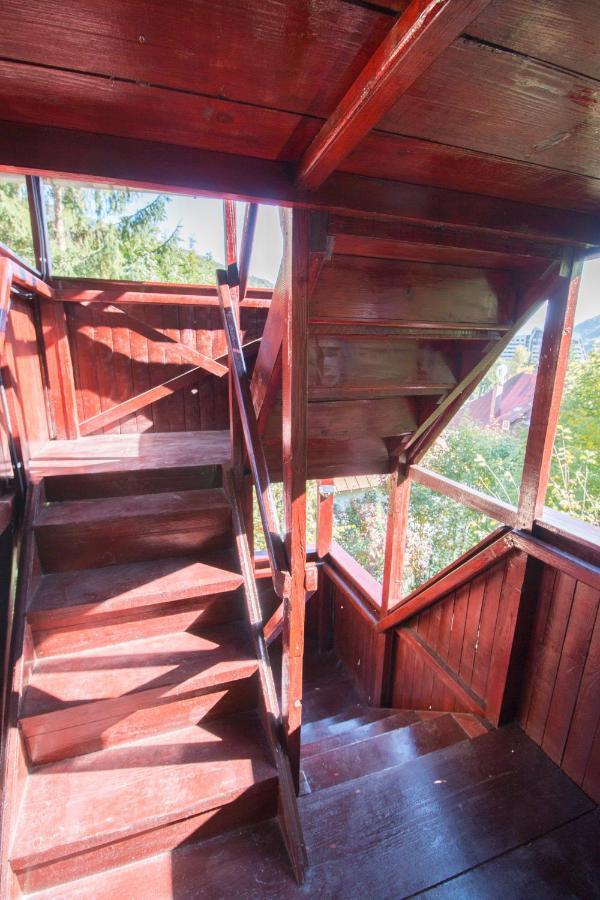 Rustic Regal Apartment ซินายา ภายนอก รูปภาพ