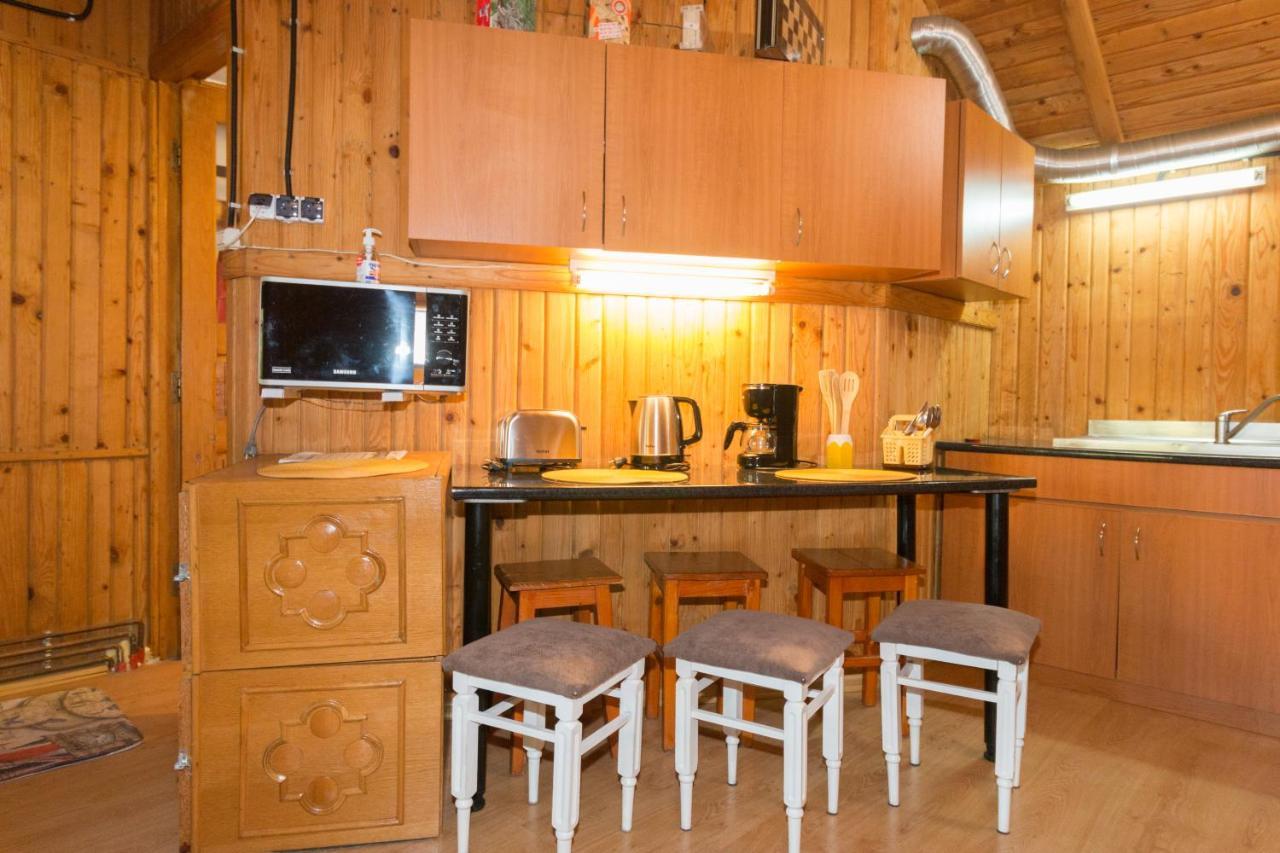 Rustic Regal Apartment ซินายา ภายนอก รูปภาพ