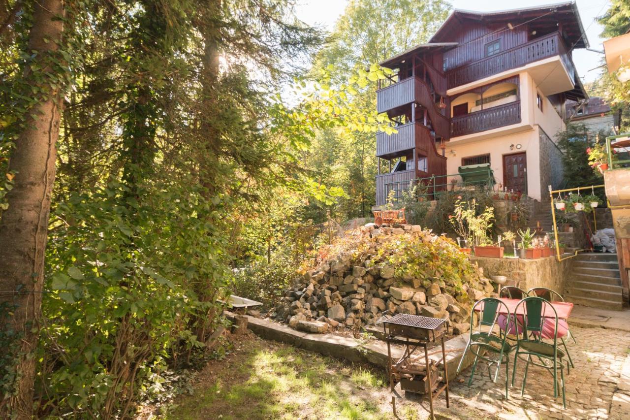 Rustic Regal Apartment ซินายา ภายนอก รูปภาพ